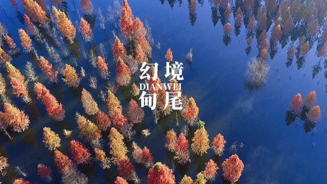 舞者芭比