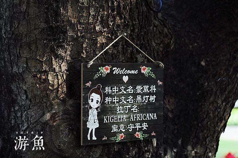 三十而已：被钟晓芹赶回老家的婆婆，为啥要陈屿做亲子鉴定？